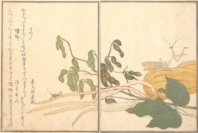 Keglehovedet græshoppe eller græshoppe, batta, Praying Mantis Toro eller Kamakiri..., 1788. af Kitagawa Utamaro
