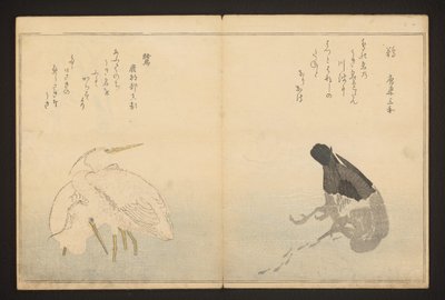 Skarv og hejre af Kitagawa Utamaro