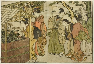 Udstilling af krysantemum, fra den illustrerede bog "Picture Book: Flowers of the Four Seasons (Ehon shiki no hana)," vol. 2 af Kitagawa Utamaro