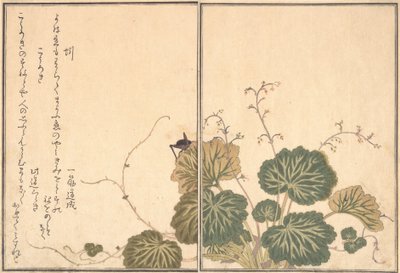Regnorm Mimizu, Cricket Korogi..., 1788. af Kitagawa Utamaro