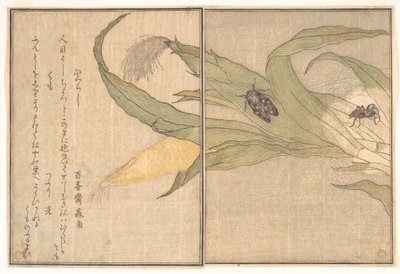  af Kitagawa Utamaro