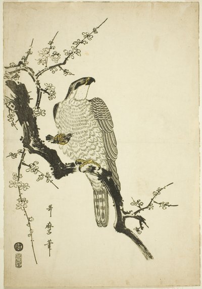 Høg på en blommegren af Kitagawa Utamaro