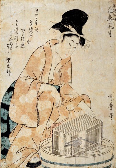 Japansk kunst: kvinde, der sidder foran et fuglebur. Tegning af Outamaro (Utamaro) Kitagawa (1753-1806) Rennes fra det 18. århundrede, Musee des Beaux Arts af Kitagawa Utamaro