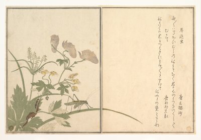  af Kitagawa Utamaro