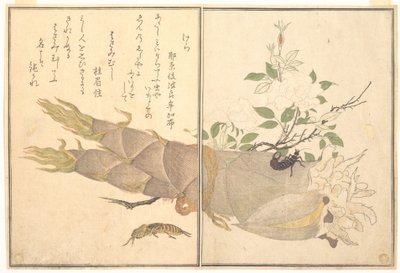Mosegræshoppe (Kera); ørentvist (Hasami-mushi), fra Billedbogen om krybende skabninger (Ehon mushi erami) af Kitagawa Utamaro