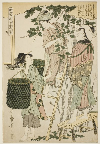 nr. 2 (ni), fra serien "Women Engaged in the Sericulture Industry (Joshoku kaiko tewaza-gusa)" af Kitagawa Utamaro