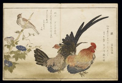 P.332-1946 Vol.1 f.8 Hane og høne til højre med en bynke til venstre, fra et album "Birds compared in Humorous Songs" ("Momo Chidori Kyoka Awase"), 1791 (farve-træsnit) af Kitagawa Utamaro