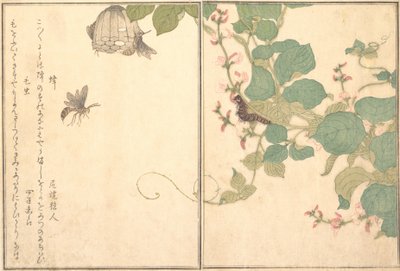 Papirhveps Hachi, Behåret Caterpillar Kemushi..., 1788. af Kitagawa Utamaro