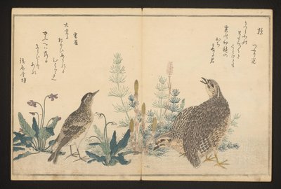 Vagtel og lærke af Kitagawa Utamaro