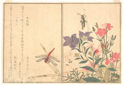 Rød guldsmed (Akatonbo); Græshoppe (Inago), fra billedbogen om krybende dyr (Ehon mushi erami) af Kitagawa Utamaro