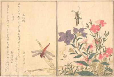 Red Dragonfly Akatonbo, Locust Inago..., 1788. af Kitagawa Utamaro