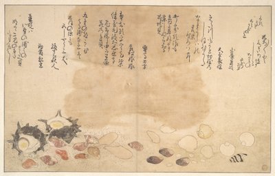 Muslingeskaller under vand af Kitagawa Utamaro
