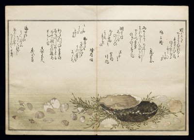 Shiohi no tsuto (Gaver fra Ebbe Tide), kendt som Shell Book, 1789 (farvet træbloktryk) af Kitagawa Utamaro