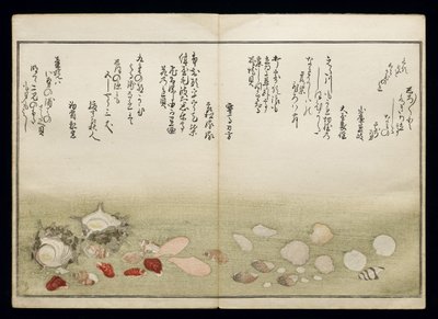Shiohi no tsuto (Gaver fra Ebbe Tide), kendt som Shell Book, 1789 (farvet træbloktryk) af Kitagawa Utamaro