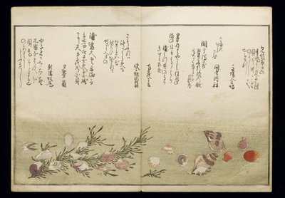Shiohi no tsuto (Gaver fra ebbe), kendt som Shell Book, 1789 (farve-træsnit) af Kitagawa Utamaro