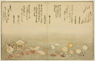 Hvid yderside, rynker på overfladen, Maclar Street, Yellow Street, Other Street, Sadaei, fra tee st latte d book o k "Teknik fts from tee eh b on the ground (bracts of seawater)" af Kitagawa Utamaro