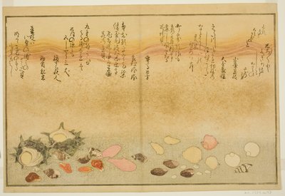Hvid yderside, rynker på overfladen, Maclar Street, Yellow Street, Other Street, Sadaei, fra tee st latte d book o k "Teknik fts from tee eh b on the ground (bracts of seawater)" af Kitagawa Utamaro