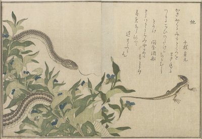 Snake and Lizard, 1788 (træblok i farver) af Kitagawa Utamaro