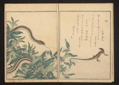 Slange og firben ved en busk af Kitagawa Utamaro