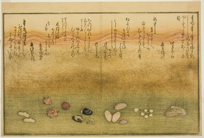 Sudare udenfor, blomst udenfor, kirsebærblomst udenfor, ingen agat, nadeshiko udenfor, idé d Kinuta udenfor, fra tee st latte dækblade af tidevandet)” af Kitagawa Utamaro