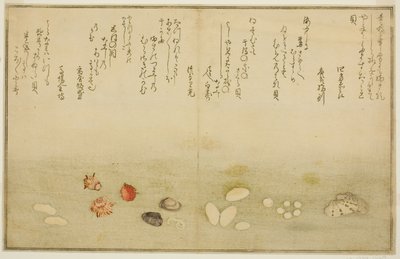 Sudare udenfor, blomst udenfor, kirsebærblomst udenfor, ingen agat, nadeshiko udenfor, idé d Kinuta udenfor, fra tee st latte dækblade af tidevandet)” af Kitagawa Utamaro