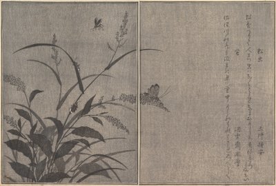Træcricket Matsumushi, Firefly Hotaru..., 1788. af Kitagawa Utamaro