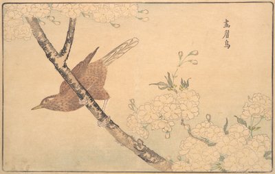 Den grå Drossel, 1789. af Kitao Masayoshi