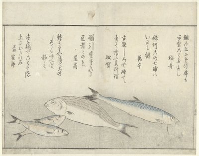 Fire fisk af Kitao Masayoshi