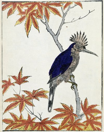 Fugl på et træ. Japansk tegning af Kitao Kosuisai af Kitao Shigemasa