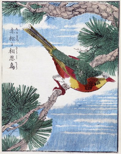 Fugl på et træ. Japansk tegning af Kitao Kosuisai af Kitao Shigemasa
