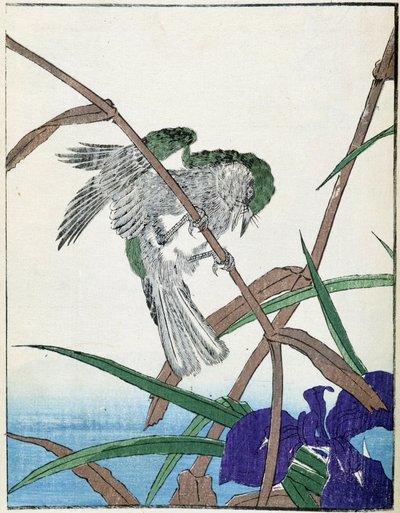 Fugl på et træ. Japansk tegning af Kitao Kosuisai af Kitao Shigemasa