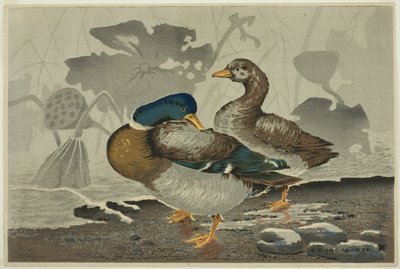 Et par ænder ved en lotusdam af Kobayashi Kiyochika