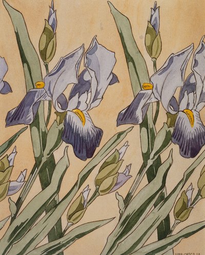 Iris, 1898 af Koloman Moser
