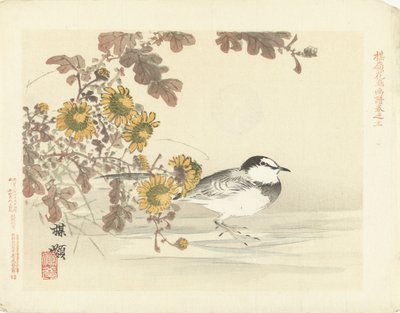 japansk vipstjert Baireis blomster- og fugleskitser (serietitel) Barei kacho gafu (serietitel på objekt) af Kono Bairei