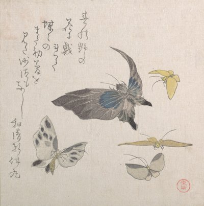 Sommerfugle, 1800-tallet. af Kubo Shunman