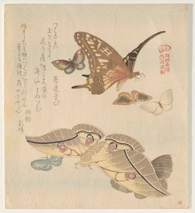 Sommerfugle og møl, fra serien A Flock of Butterflies (Gunch? Gafu) af Kubo Shunman