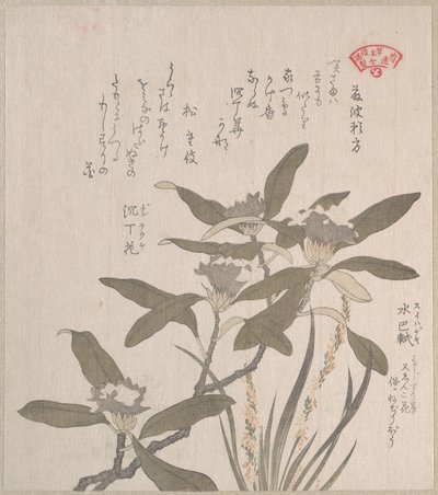  af Kubo Shunman