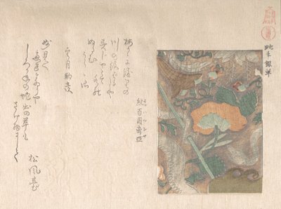 Design af importeret læder, 1800-tallet. af Kubo Shunman
