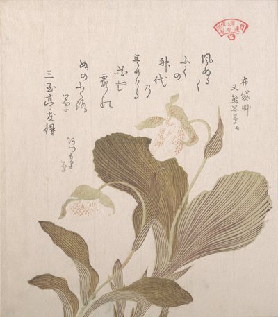 Hotei blomster, 1800-tallet. af Kubo Shunman