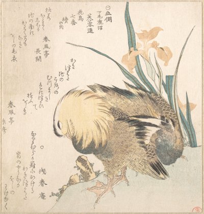 Et par mandarinænder og irisblomster af Kubo Shunman