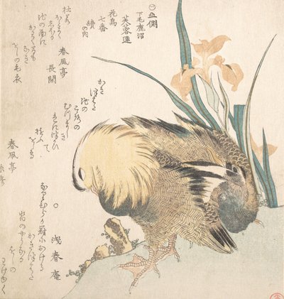 Par mandarinænder og irisblomster, slutningen af det 18.-begyndelsen af det 19. århundrede. af Kubo Shunman