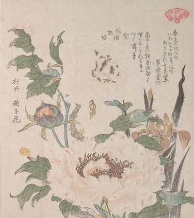 Pæoner og Iris, 1800-tallet. af Kubo Shunman