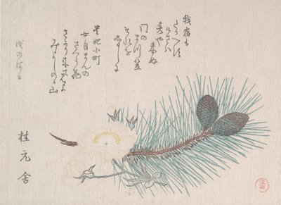 Fyrretræer og kirsebærblomster, sandsynligvis 1814. af Kubo Shunman