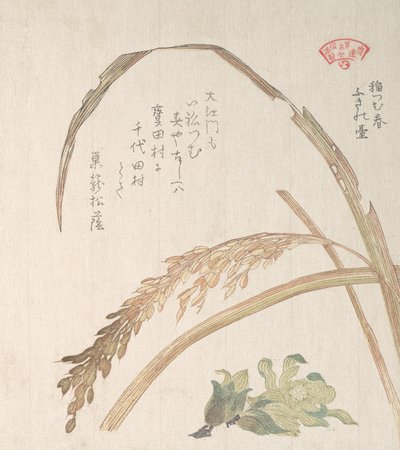 Risplante og smør-Burs, 1800-tallet. af Kubo Shunman