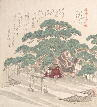 Helligdom under et stort fyrretræ, 1800-tallet. af Kubo Shunman