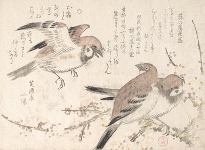 Spurve og blommeblomster, 1800-tallet. af Kubo Shunman