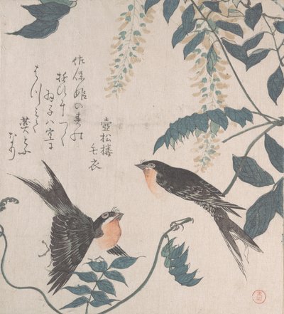 Svaler og Wisteria, 1800-tallet. af Kubo Shunman