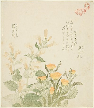 Den almindelige morgenfrue og de rajomanske blomster af Kubo Shunman