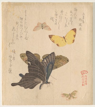 The Painting Manual of Flock of Butterflies (Guncho? Gafu) af Kubo Shunman