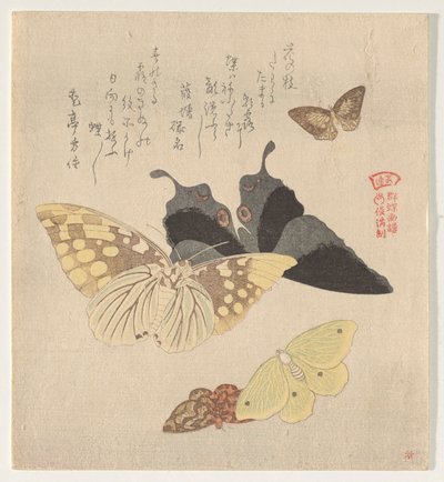 The Painting Manual of Flock of Butterflies (Guncho? Gafu) af Kubo Shunman